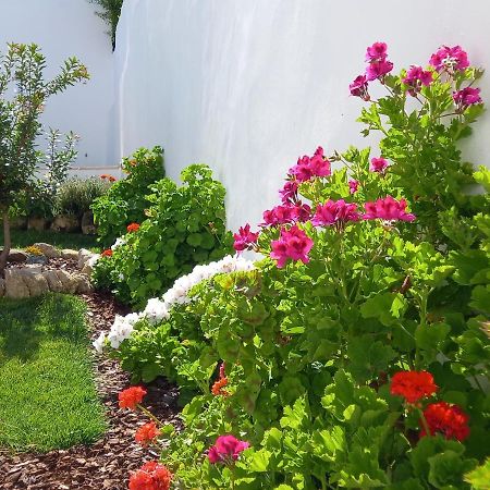 Pateo Dos Oliveira - Casa Dos Senhores Évora Exterior foto